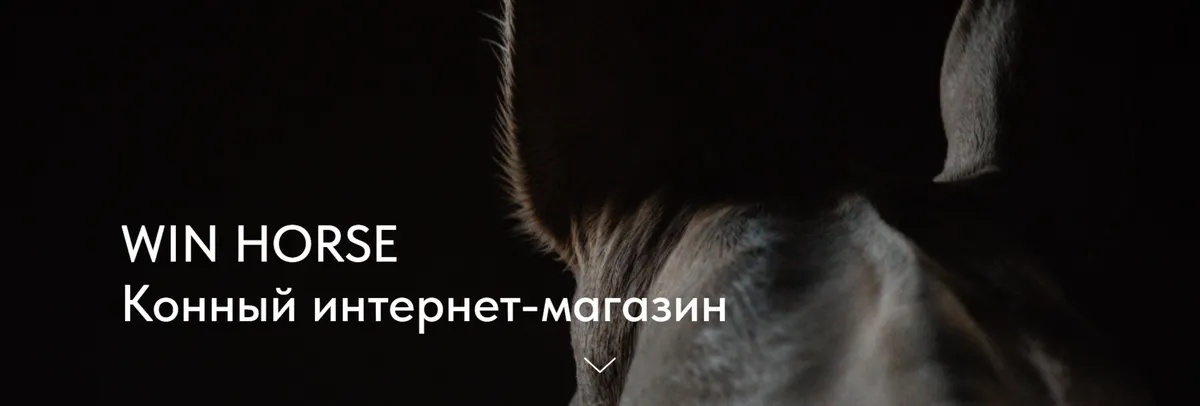 Баннер магазина WIN HORSE