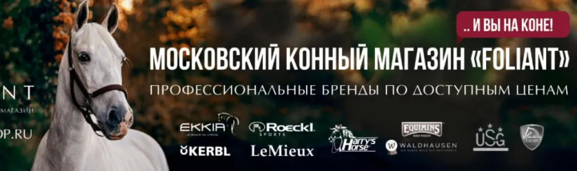 Баннер магазина Foliant