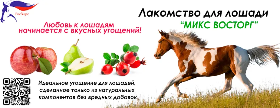 Баннер магазина РосХорс