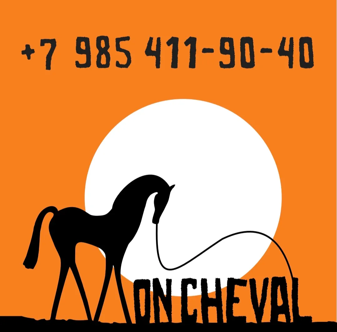 Баннер магазина Mon Cheval