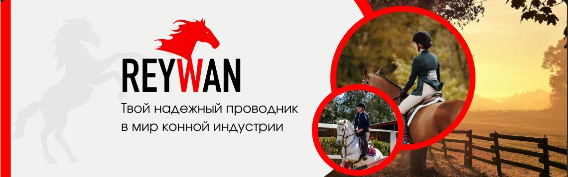 Баннер магазина Reywan