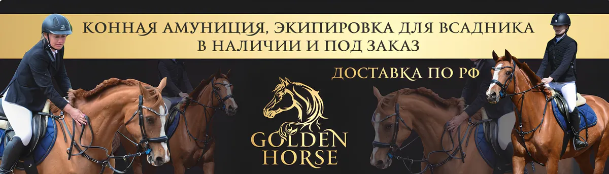 Баннер магазина Golden horse