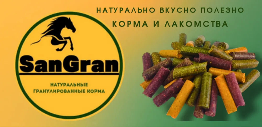 Баннер магазина SanGran