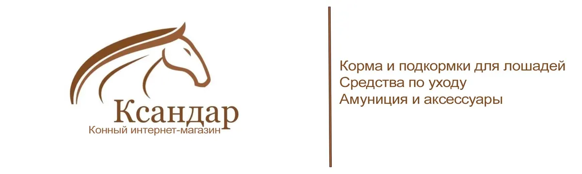 Баннер магазина Ксандар