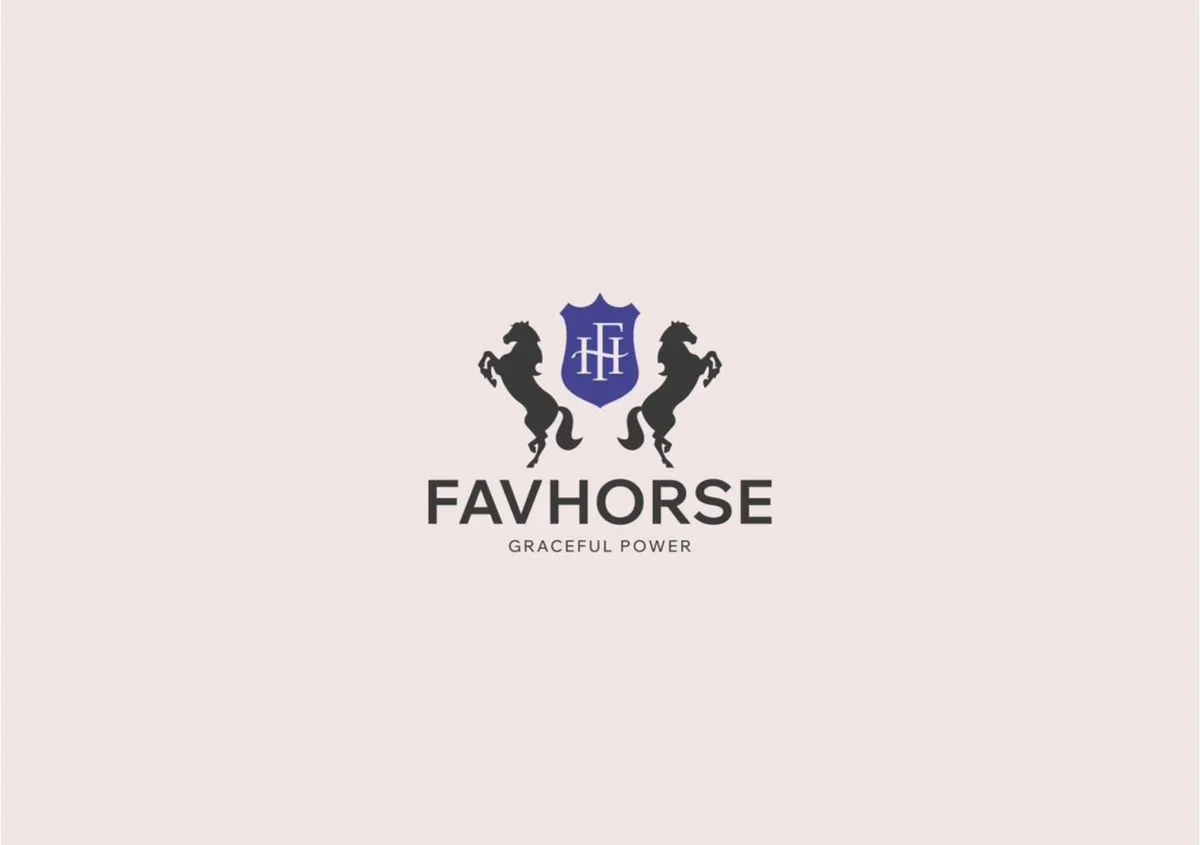 Баннер магазина Favhorse