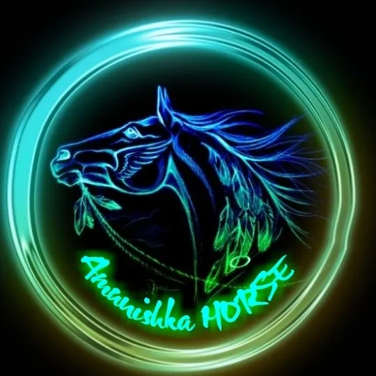 Баннер магазина Amunishka-HORSE