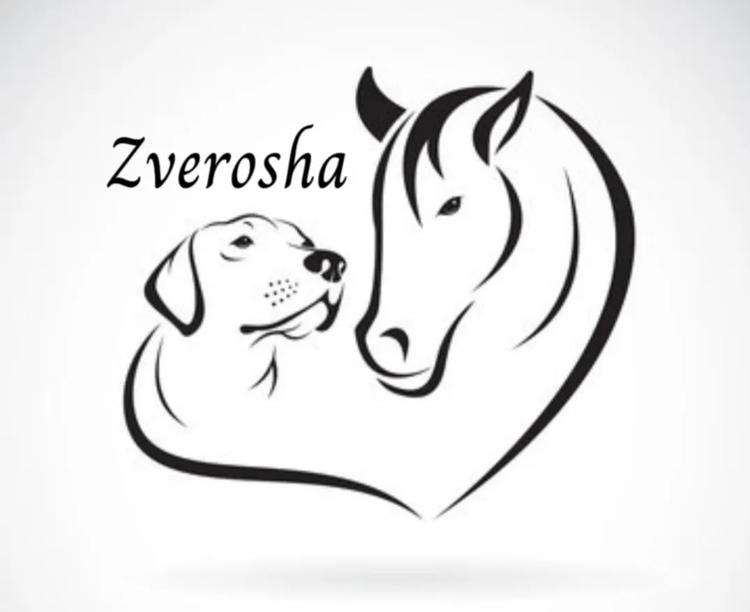 Баннер магазина Zverosha